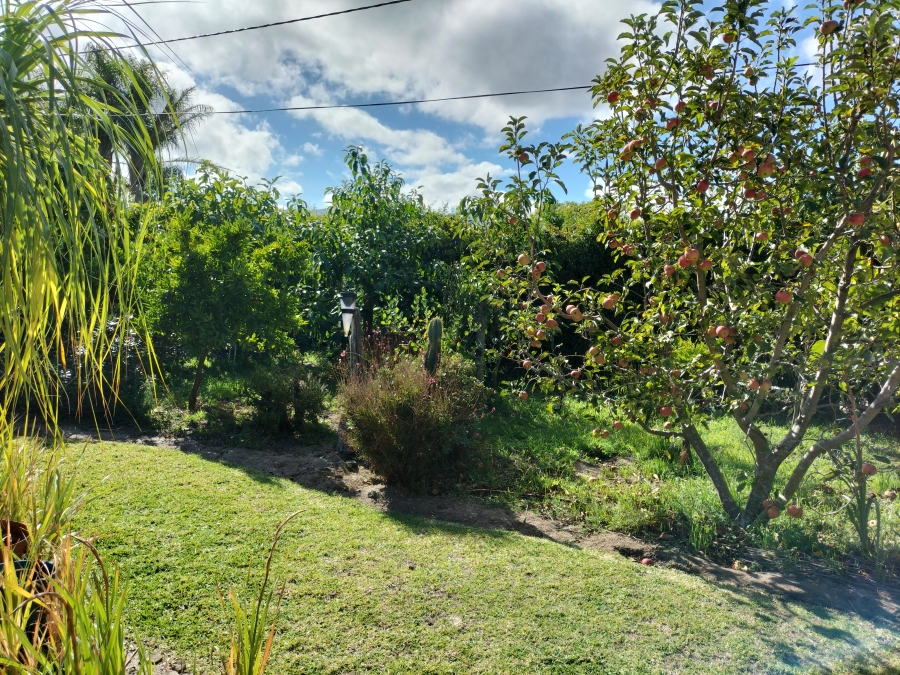 3 Bedroom Property for Sale in Grabouw Western Cape